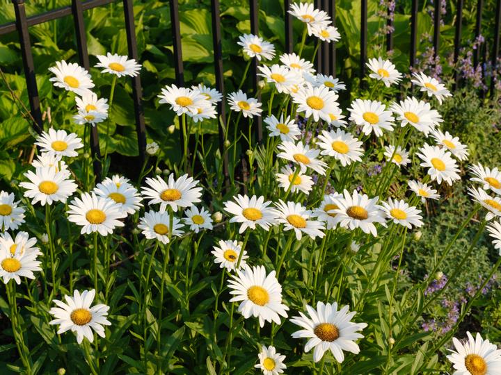 Union Gables Inn | Saratoga Springs | 8