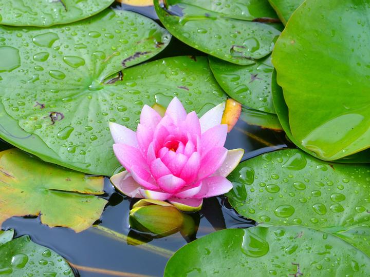 Union Gables Inn | Saratoga Springs | 7