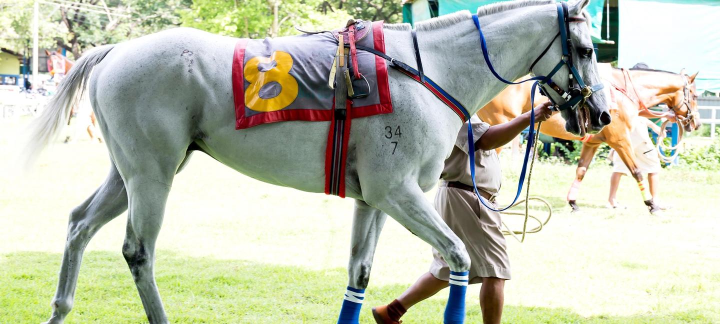 Union Gables Inn | Saratoga Springs | 3